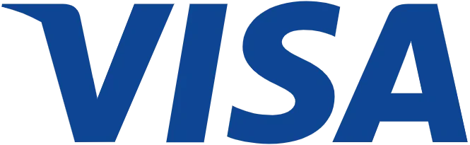 Visa card payment icon